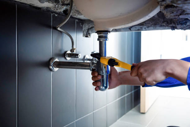 Best Plumbing Inspections & Maintenance in South Rockwood, MI